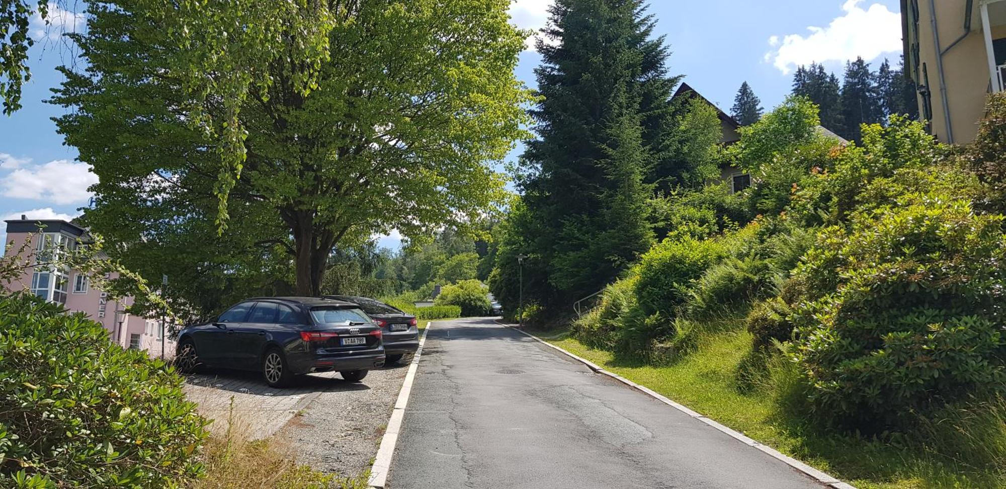 Ferienwohnungen Villa Goldbrunnen Bad Elster Εξωτερικό φωτογραφία