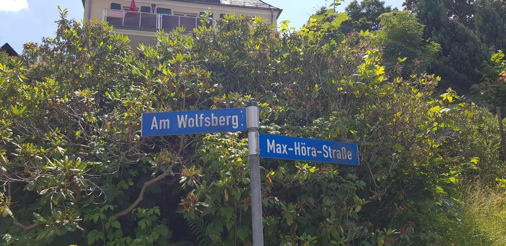 Ferienwohnungen Villa Goldbrunnen Bad Elster Εξωτερικό φωτογραφία